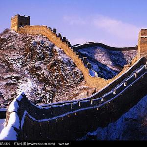 国产精品午夜无码AV体验区
