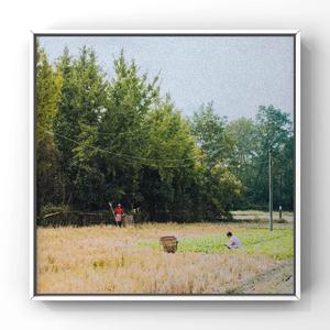 国产精品午夜无码AV体验区
